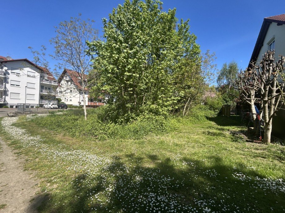 Blick Nord-Osten Wohngrundst�ck Ihringen