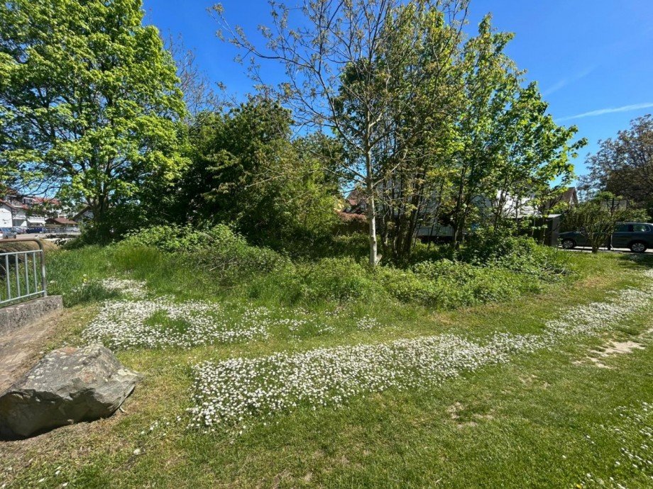 Blick Osten Wohngrundst�ck Ihringen