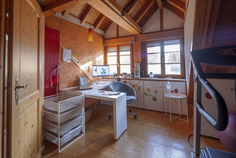 Hinterhaus B�ro Zweifamilienhaus Breisach am Rhein