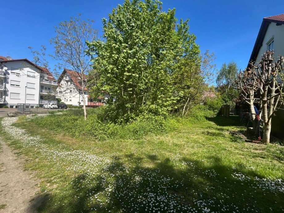 Blick Nord-Osten Wohngrundst�ck Ihringen