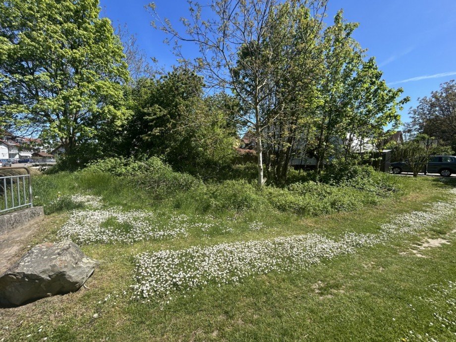Blick Osten Wohngrundst�ck Ihringen