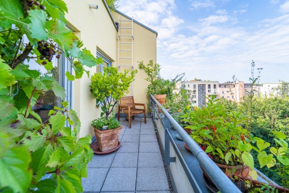 West-Balkon Etagenwohnung Freiburg im Breisgau