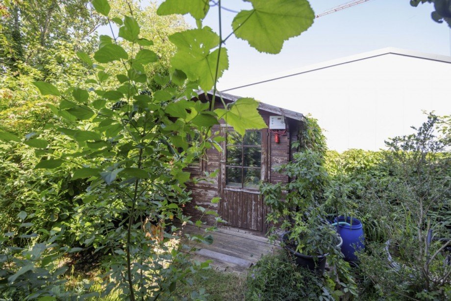 Garten B�ro / Praxis Hartheim am Rhein
