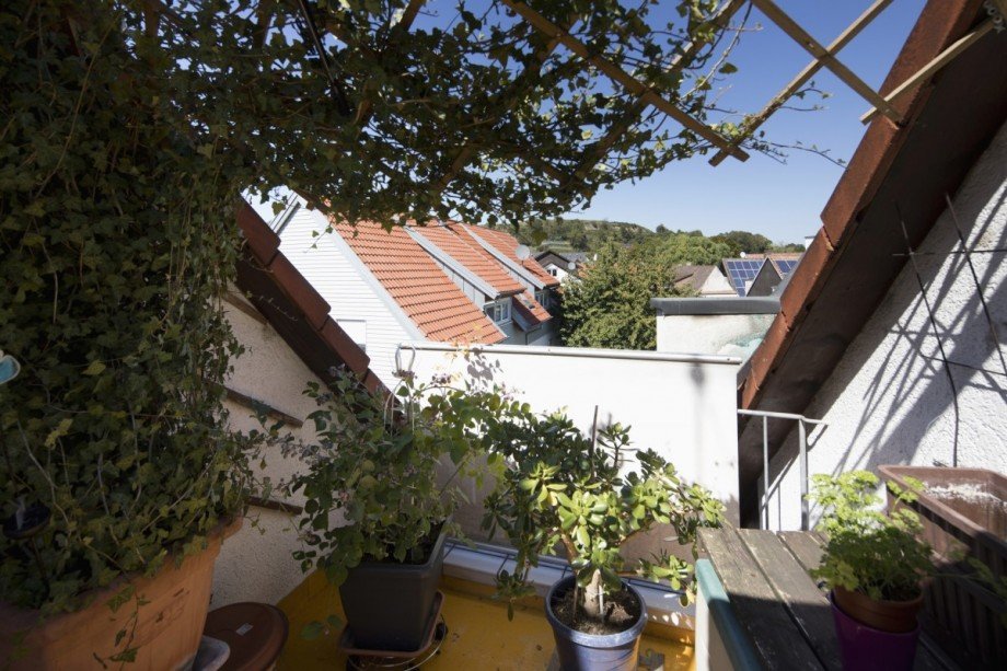 Aussicht Etagenwohnung Freiburg im Breisgau / Waltershofen
