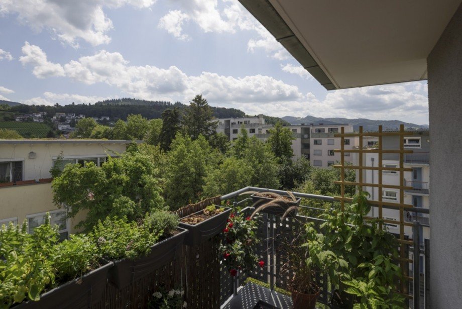 Aussicht Etagenwohnung Freiburg im Breisgau